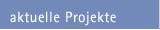 aktuelle Projekte